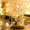 6 pack 30 LED Warm White Battery Operated Fairy Lights 10'Long | Batteries Included | Great for Mason Jars, Holiday Projects etc